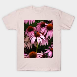 Echinacea and Bee T-Shirt